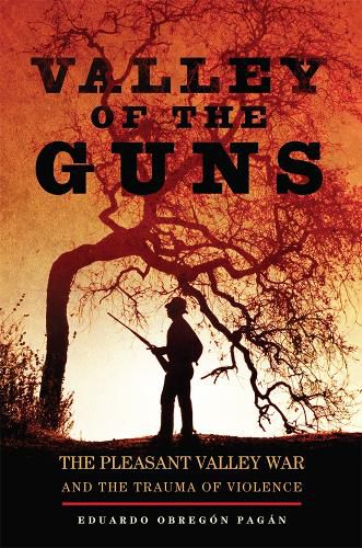 Cover image for Valley of the Guns