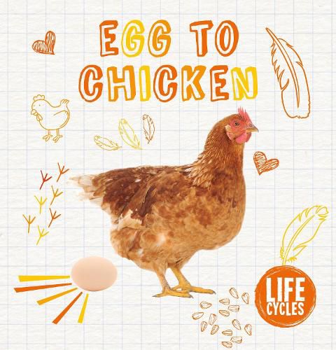 Cover image for Egg To Chicken