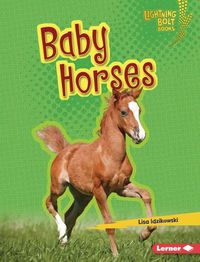 Cover image for Baby Horses