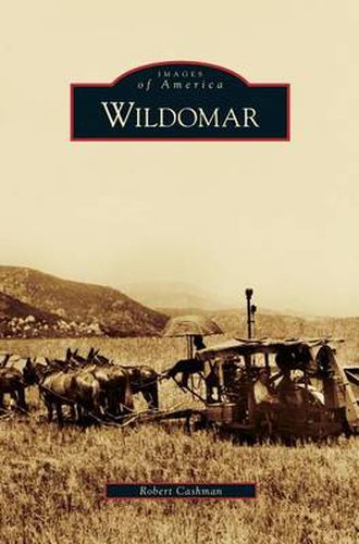 Cover image for Wildomar