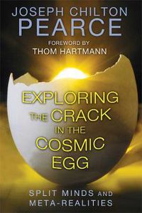 Cover image for Exploring the Crack in the Cosmic Egg: Split Minds and Meta-Realities