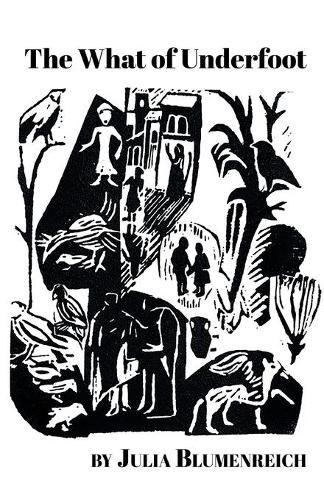 Cover image for The What of Underfoot