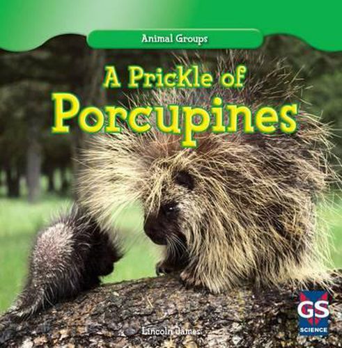 A Prickle of Porcupines