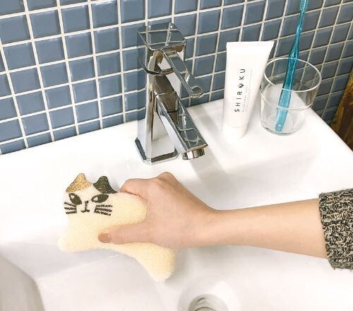 Decole Sparkling Kitchen Sponge - Cat