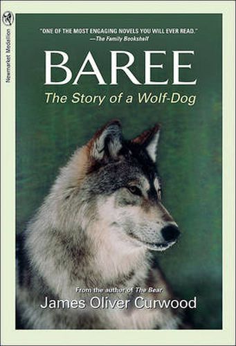 Cover image for Baree