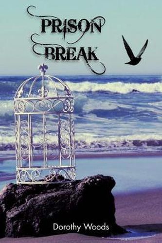 Cover image for Prison Break