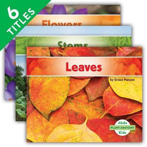 Cover image for Plant Anatomy: Seeds, Roots, Stems, Leaves, Flowers, Fruits