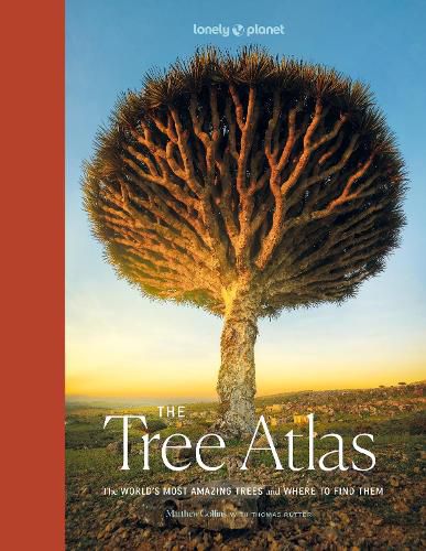 Cover image for Lonely Planet The Tree Atlas