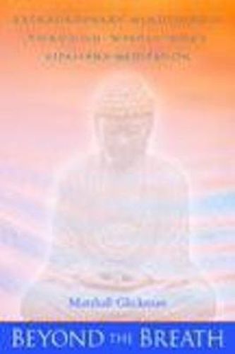 Cover image for Beyond the Breath: Extrordinary Mindfulness through Whole Body Vipassana Yoga Meditation