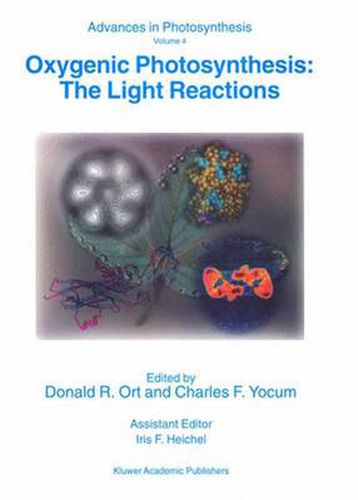 Cover image for Oxygenic Photosynthesis: The Light Reactions