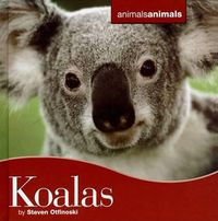 Cover image for Koalas