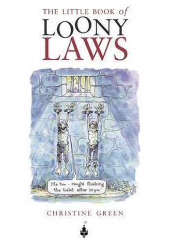 Cover image for The Little Book of Loony Laws