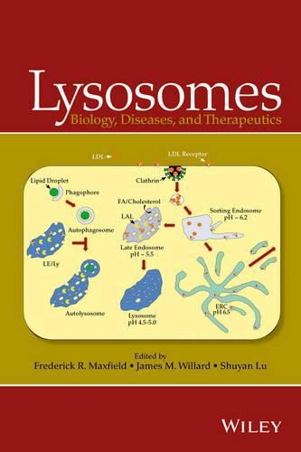 Cover image for Lysosomes - Biology, Diseases, and Therapeutics