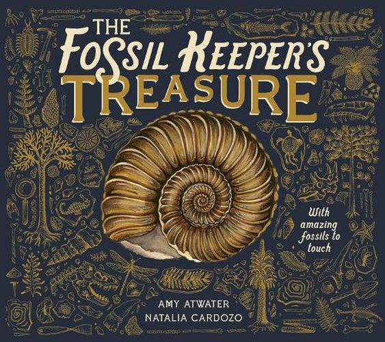 The Fossil Keeper's Treasure