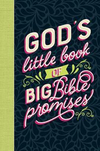 Cover image for God's Little Book of Big Bible Promises