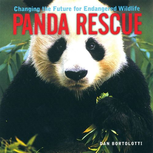 Cover image for Panda Rescue