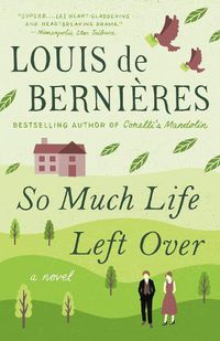 Cover image for So Much Life Left Over: A Novel