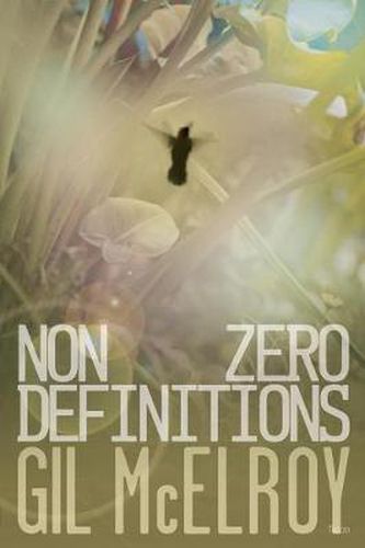 Cover image for NonZero Definitions