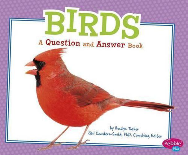 Cover image for Birds: a Question and Answer Book (Animal Kingdom Questions and Answers)