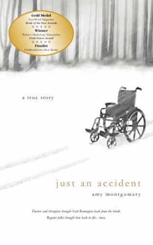 Cover image for Just an Accident