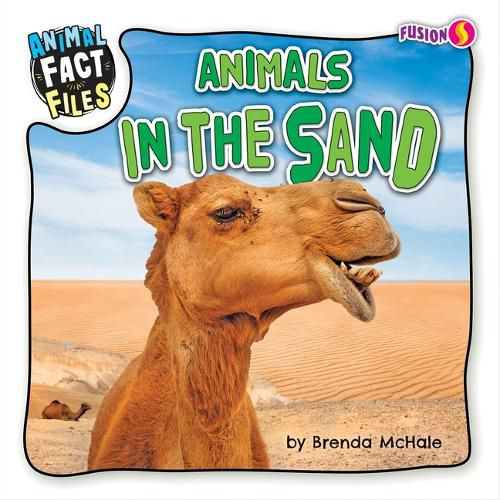 Cover image for Animals in the Sand