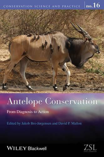 Cover image for Antelope Conservation: From Diagnosis to Action