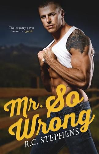 Cover image for Mr. So Wrong