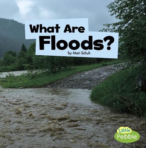 Cover image for What Are Floods?