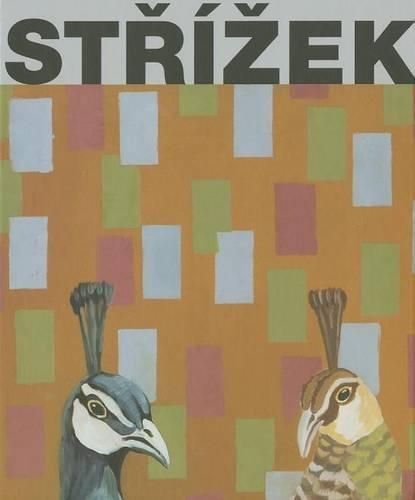 Cover image for Antonin Strizek: Paintings