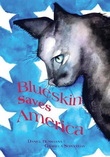 Cover image for Blueskin Saves America