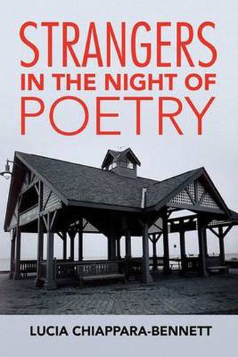Cover image for Strangers in the Night of Poetry