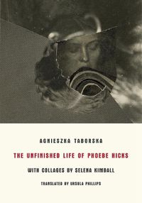 Cover image for The Unfinished Life of Phoebe Hicks