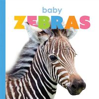 Cover image for Baby Zebras