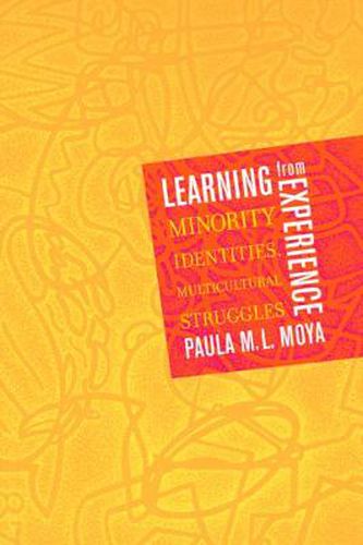 Cover image for Learning from Experience: Minority Identities, Multicultural Struggles