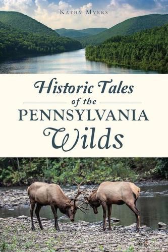 Cover image for Historic Tales of the Pennsylvania Wilds