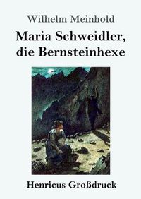 Cover image for Maria Schweidler, die Bernsteinhexe (Grossdruck)