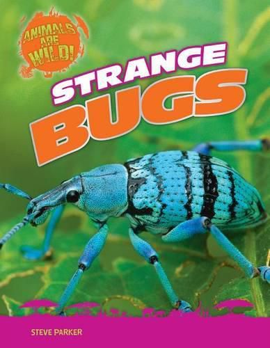 Cover image for Strange Bugs