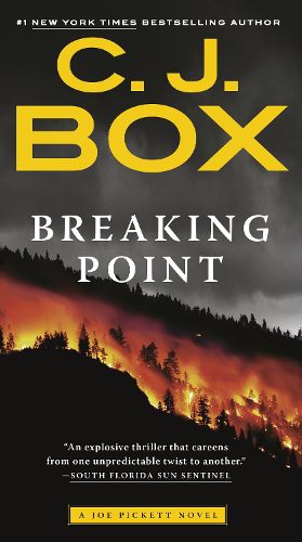 Cover image for Breaking Point