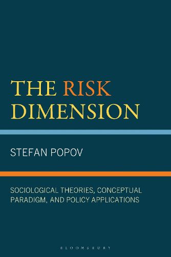 Cover image for The Risk Dimension