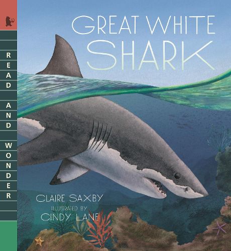 Cover image for Great White Shark