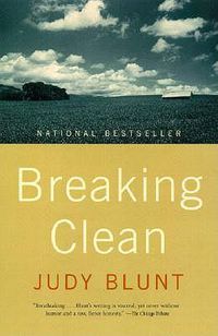 Cover image for Breaking Clean