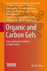 Cover image for Organic and Carbon Gels: From Laboratory Synthesis to Applications