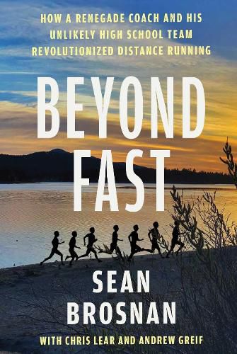 Cover image for Beyond Fast