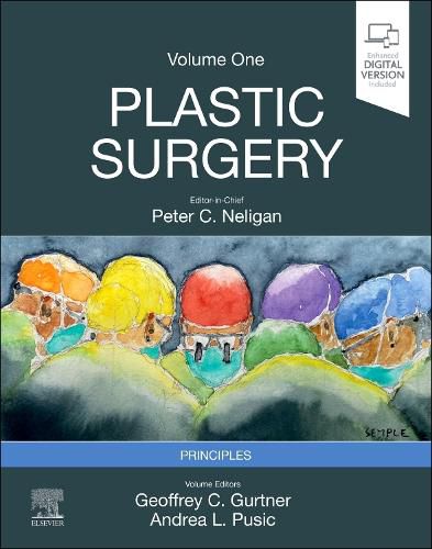 Cover image for Plastic Surgery