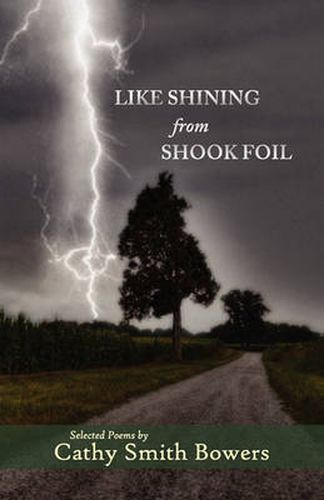 Cover image for Like Shining From Shook Foil