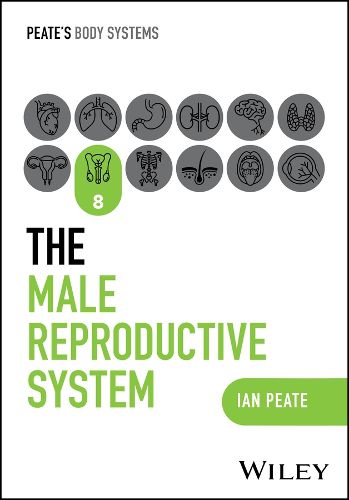 The Male Reproductive System