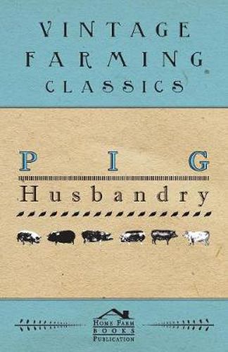 Cover image for Pig Husbandry