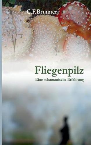 Fliegenpilz: Eine Schamanische Erfahrung