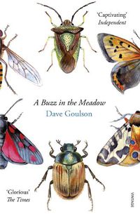 Cover image for A Buzz in the Meadow