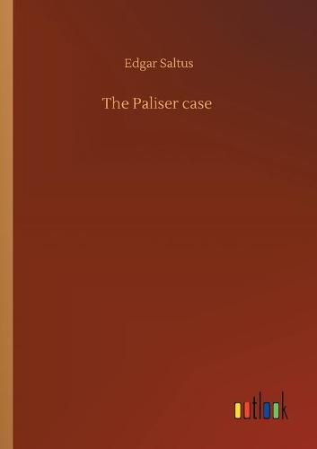Cover image for The Paliser case